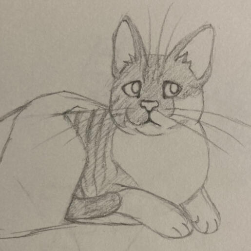 Traditional halfbody sketch example. Pet portrait. $25.