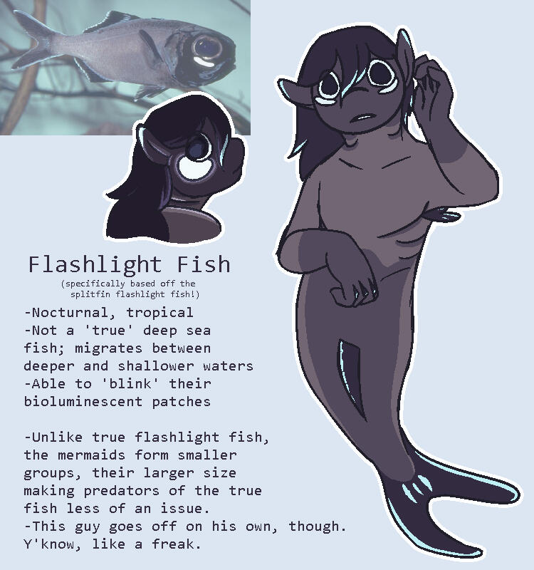 Mermaid character design example. Digital. Includes a fullbody, a bust shot, and written design/character notes for future reference. ~$110.